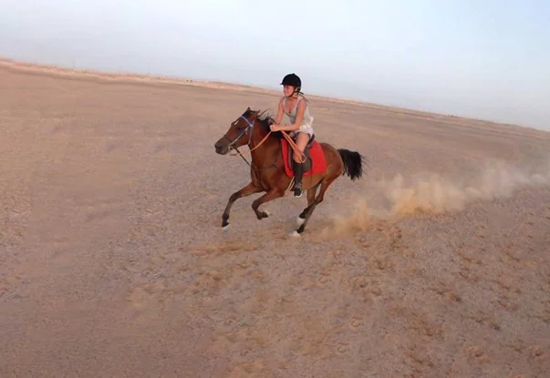 Horse riding  tour -  2 hours ( Private Tour )